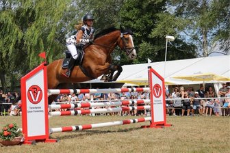 Reitsport: Langenstriegiser SV lädt zum heimischen Turnier - Das alljährlich stattfindende Reitturnier zieht regelmäßig viele Besucher nach Langenstriegis. An diesem Wochenende ist es wieder soweit.