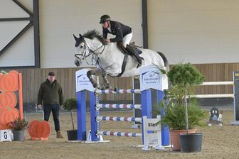 Reitsport: Zwickauer Winteredition feiert mit über 1000 Nennungen einen Rekord - Bei der aktuellen Auflage der Winteredition in Zwickau stehen am Wochenende insgesamt 13 Springprüfungen auf dem Programm.