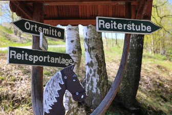 Reitsportanlage im Erzgebirge steht zum Verkauf: Pferdesportverein hofft auf Duldung - Wo geht es hin mit der Reitsportanlage in Grünstädtel? Und darf der Pferdesportverein bleiben?