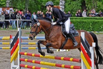 Reitturnier und Showtag auf dem Reitplatz in Oberlungwitz - In Oberlungwitz steht am Wochenende für Pferdesportliebhaber einiges auf dem Programm.
