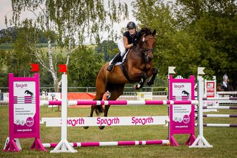 Reitverein im Erzgebirge feiert Jubiläum mit einer Premiere - Das Reitturnier Weißbach beginnt am Freitag.