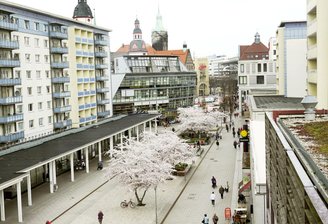 Reizgasattacke am Rosenhof - 