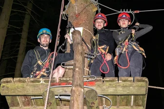Rekordandrang beim Nachtklettern im Erzgebirge: Wo Mutige sich hoch in die Bäume trauen - Leon-Pascal, Maira und Annalena Lippert (von links) auf einer Plattform in vier Meter Höhe. Die Geschwister aus Schwarzenberg waren vom Nachtklettern im Wald an den Greifensteinen begeistert.
