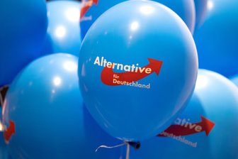 Rekordergebnis für AfD: Wahlumfrage sieht Partei auf Platz 1 - In einer aktuellen Forsa-Umfrage landet die AfD auf dem ersten Platz.
