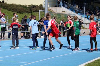 Rekordmarke für den Sport in Mittelsachsen: Erstmals mehr als 51.000 Menschen in Vereinen organisiert - Von jung bis alt: In mehr als 80 Sportarten sowie in 387 Sportvereinen sind die Menschen in Mittelsachsen aktiv.