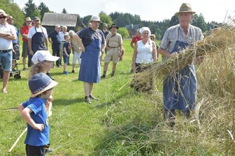 Renaissance für Puppen, Mähbinder und Windfeger im Freilichtmuseum Eubabrunn - Landtechnik von vor 100 Jahren lockte am Sonntag zahlreiche Besucher ins Freilichtmuseum Eubabrunn. Sie bekamen einen Einblick, wie früher Getreide gemäht wurde. Im Foto: Frank Riedel bindet Garben zum Aufstellen von Puppen.