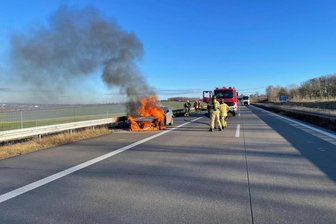 Renault brennt auf A 72 aus - Das Auto brannte auf dem Standstreifen aus.