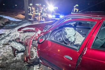 Renault prallt gegen Baum - Fahrerin schwer verletzt -