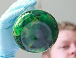 REPORTAGE: Den Übeltäter Stück für Stück eingekreist - Lieferlisten, Köche, Touristen-Fotos und Patientenbefragungen brachten die EHEC-Fahnder schließlich auf die richtige Spur. Inzwischen gilt als sicher, dass Sprossen aus Bienenbüttel für die EHEC-Epidemie verantwortlich waren.