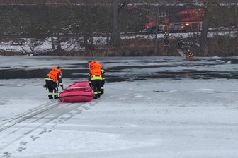 Rettung fast in letzter Minute: Feuerwehr Mittweida holt Hund aus dem Eis der Zschopau - Die Feuerwehr hat bei Mittweida einen Hund aus dem Eis der Zschopau gerettet.