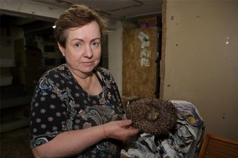 Rettungsstation für kleine Stacheltiere: Hier wird Igeln geholfen - Kathrin Effenberger mit einem ihrer Schützlinge in der Igelstation.