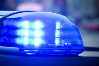 Reumütiger Dieb gibt Weidezaun zurück -