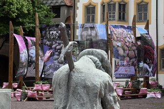 Revolution des „Gemeinen Mannes“: 500 Jahre Bauernkrieg im Fokus - Im Hof des Kunstmuseums Moritzburg: Der ermordete Bauer ist Teil einer Installation von Andreas Siekmann, dahinter eine Arbeit über den Wert der Kartoffel von Asa Sonjasdotter und Daniela Zambrano Almidon. Foto: Matthias Zwarg