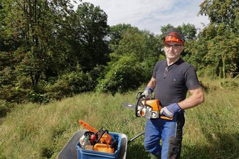 Rhododendronpark Hohenstein-Ernstthal: Pflegemaßnahmen oder „Kettensägenmassaker“? - Günther Franke aus Bethenhausen (Thüringen) hat am Pfaffenberg die Kettensäge angeworfen, um dem Zuwuchern der Rhododendren entgegenzuwirken.