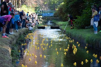 Riesenandrang bei „Freie Presse“-Entenrennen in Bad Elster - Andrang an und in der Weißen Elster: Das Entenrennen der „Freie Presse"-Mediengruppe am späten Samstagnachmittag in Bad Elster lockte viele Zuschauer direkt ans Flussufer. Anlass der Aktion war die 700-Jahr-Feier des Ortes.