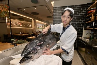 Riesenfisch in Zwickauer Restaurant „Mori Moto“: Warum sein Bauch als Delikatesse gilt - Mit einem japanischen Messer rückt Koch und Sushimeister Duong Quoc Do dem Gelbflossen-Thun im „Mori Moto“ zu Leibe.