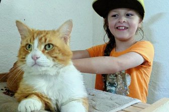 Riesenspendensumme für schwer verletzten Kater Dom in Grünhainichen - Für Susan Bothmanns Sohn Elijah (7) ist Kater Dom ein echter Freund.