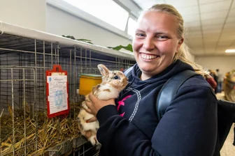 Riesige Zwergkaninchenschau: Wie Hartmannsdorf zum Mekka internationaler Züchter wird - Michaela Kaps aus Göttingen wollte einen „gescheckten Geppard“ aus Hartmannsdorf mitnehmen. Halten durfte sie ihn, zu verkaufen war das Tier jedoch nicht.