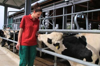 Rinderstall als Wellness-Oase: Vogtländer gewinnen Wettbewerb - Annemarie Flach ist in der Agrargenossenschaft Rotschau für das Jungvieh zuständig. Wie man sieht, mögen die Tiere die junge Frau.