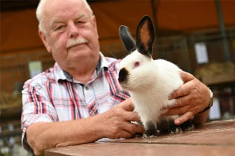 Rochlitz im Tierfieber: Kaninchenschau begeistert mehr als 1000 Gäste - Dietmar Rudolph, der Vorsitzende des Kreisverbandes der Rassekaninchenzüchter Mittweida, wurde mit Russenkaninchen schwar-weiß Meister.