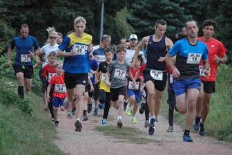 Rochlitzer Berglauf: 73 Teilnehmer gehen auf die Strecke - 73 Aktive gingen über 3,5 und 10 Kilometer im Sörnziger Weg an den Start.