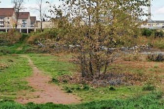 Rochlitzer Stadtwald: Im Herbst wird gepflanzt - Auf diesem Areal unweit der Mulde in Rochlitz entsteht bald ein kleiner Wald. Das Pflanzen soll noch diesen Monat beginnen. 