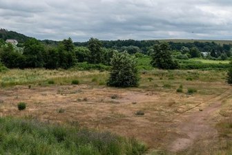 Rochlitzer Stadtwald: Projekt nimmt Fahrt auf - Auf der Fläche zwischen der Hochuferstraße und der Mulde stehen nur vereinzelt Bäume und Sträucher. Nach der geplanten Aufforstung können die Rochlitzer in etlichen Jahren durch einen Auwald spazieren.