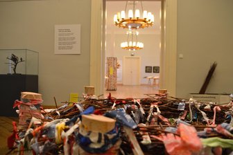 Rochsburg: Sonderschau gibt Einblick in die Kinderstube der Vögel - Nester verschiedener Vogelarten sind im Schloss Rochsburg zu sehen.