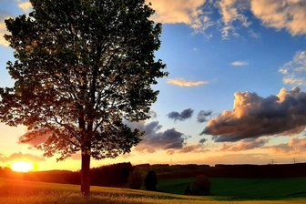 Romantischer Ausblick - 