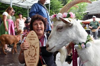 Rosali zur schönsten Ziege im Erzgebirge gekürt - Jacki Uhlig ist mächtig stolz. Ihre Rosali wurde zur schönsten Ziege des Erzgebirges gekürt.