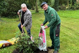 Rosen der Erinnerung: Ein Flüchtling von einst und sein Stück Heimat in Oelsnitz - Christian Moik (links) und der Oelsnitzer Gärtnermeister Matthias Tröltzsch setzen einen Rosenstrauch „Märchenzauber“ für Moiks Oma.