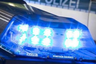 Rosenbach: Mit Luftdruckwaffe auf Katze geschossen - Zeugen gesucht -