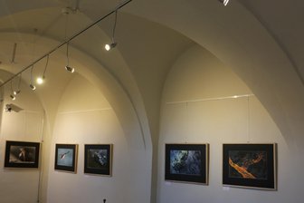 Rosenbacher Bürgermeister gibt im Streit um Erweiterung der Leubnitzer Kindertagesstätte Entwarnung - Das Kreuzgewölbe im Leubnitzer Schloss wird für Ausstellungen genutzt. Dabei soll es bleiben.
