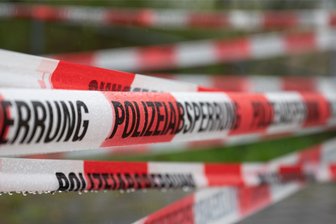 Rostige Weltkriegsmunition im vogtländischen Wald gefunden - Ein Mann hat eine Handgranate beim Spaziergang in Grünbach gefunden.