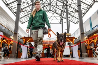 Roter Teppich für Tierheim-Tiere: Warum Schäferhündin Cora ein neues Zuhause braucht - Tierpflegerin Vanessa Haasper mit ihrem Schützling Cora.