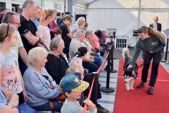 Roter Teppich für Tierheimhunde in Chemnitz ausgerollt - Der Tierschutzverein Chemnitz präsentierte am Samstag Hunde aus dem Tierheim Pfarrhübel.