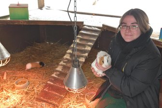 Rotlicht und Winterfell - so kommen Meerschweine & Co. im Freiberger Tierpark über die kalten Tage -