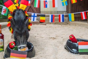 Rudi bleibt Löws Elf treu -