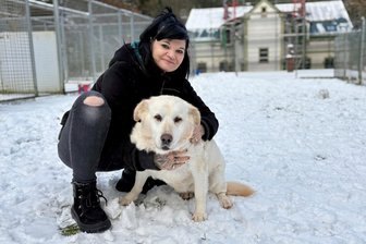 Rührende Schicksale: Tierheim im Erzgebirge sucht für diese Tiere jetzt Hilfe - Annabell Freiwald vom Tierheim Bockau mit Elora. Die Hündin sucht ein neues Zuhause.