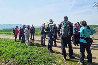 Rund um den Schwartenberg: Herbst-Termine zwischen Neuhausen und Seiffen stehen schon fest - Die Frühjahrswanderwoche am Schwartenberg (Hintergrund) brachte erneut Wanderfreunde zusammen. 