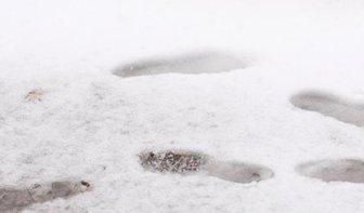 S 203 erneut wegen Schneebruch gesperrt -