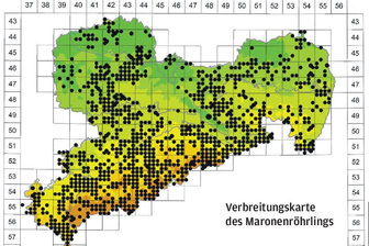 Sächsischer Pilzatlas: Liebeserklärung auf 1720 Seiten -