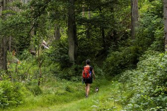 Sachsen gibt über 545.000 Euro für Werbung fürs Spazierengehen aus - Sachsen will Lust machen aufs Spazierengehen und Wandern in der freien Natur - und dabei das Bewusstsein für die Umwelt schärfen.