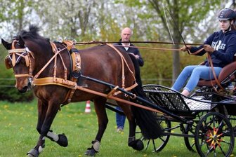 Sachsen üben das Fahren -