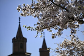 Sachsen-Wetter am 1. Mai: Temperatursprung nach oben am Feiertag, aber dann... - Diese Woche steht den Menschen im Freistaat frühlingshaftes Wetter ins Haus. (Archiv)