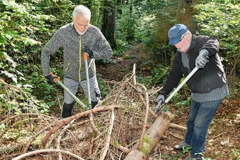 Sachsenforst und Wandersportverein beräumen Kielfloßgraben in Mühlleithen -