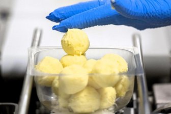 Sachsens Bauern kämpfen: Warum der Kartoffelanbau an Bedeutung verliert - Klöße werden in einer Anlage der Friweika eG in Weidensdorf verpackt. Derzeit herrscht Hochbetrieb bei Sachsens größtem Kartoffelverarbeiter. In Spitzenzeiten werden pro Tag bis zu 2000 Tonnen Kartoffeln angeliefert.