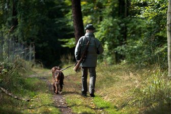 Sachsens Jäger nehmen zu wenige Wildschweine aufs Korn - Rund 10.500 Jäger sorgen in Sachsen für die waid- und tierschutzgerechte Jagd des heimischen Wildes.