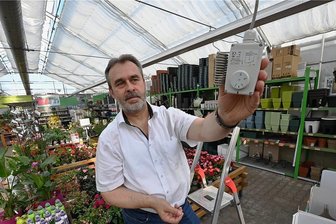 Sachsens Unternehmer schlagen Alarm: "Der Mittelstand wird geopfert" - Andreas Richter in einem seiner Gewächshäuser. Um Energie zu sparen, wird dort künftig die Solltemperatur mit der Hand eingestellt. 