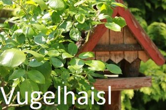 Sächsisch ist nicht gleich Sächsisch - 